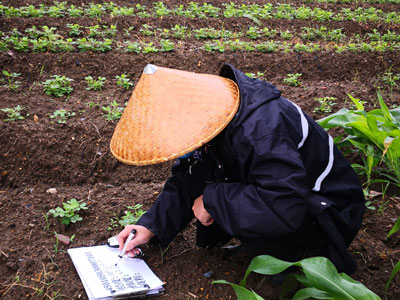 農用地(dì / de)土壤檢測